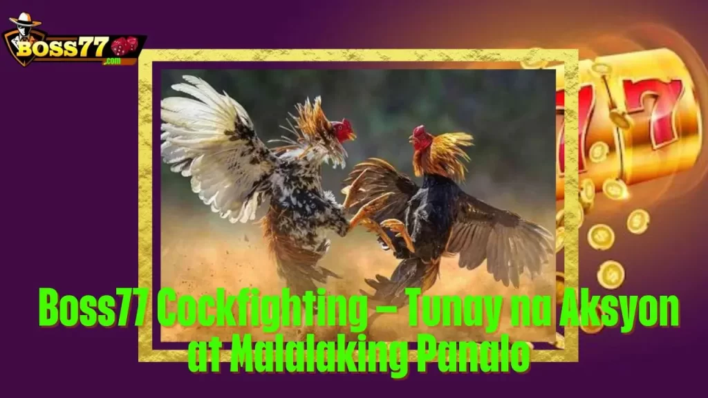 Boss77 Cockfighting – Tunay na Aksyon at Malalaking Panalo 1 Boss77 Cockfighting – Tunay na Aksyon at Malalaking Panalo